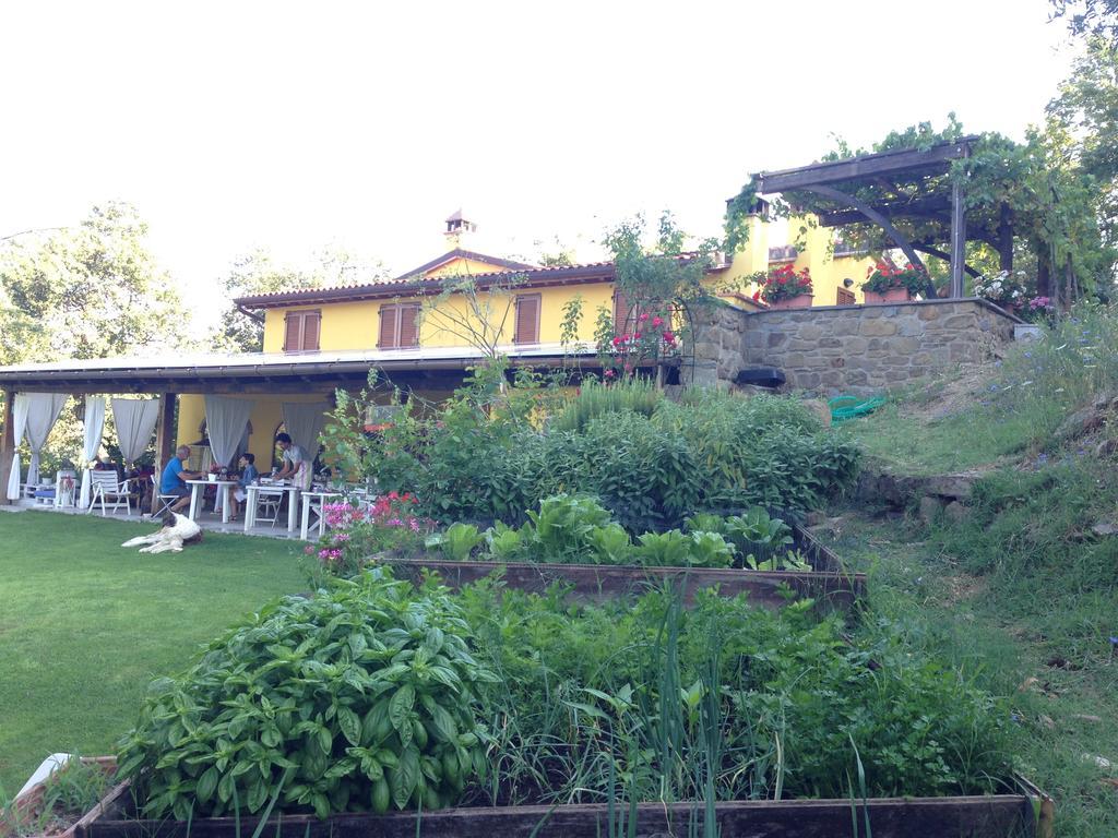 Borgo Nuovo Di Mulinelli Arezzo